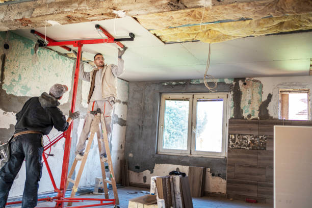 Best Wall Insulation Installation  in Cresson, TX